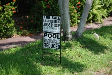 United-States, Florida - copyright by Reineke Otten